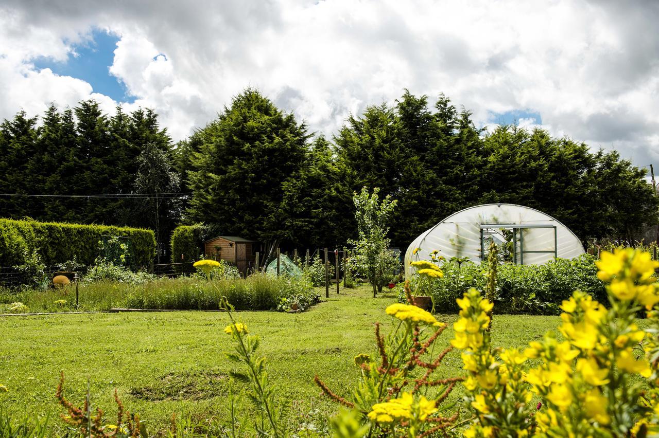Bed and Breakfast Peartree Hill Dundonald  Exteriér fotografie