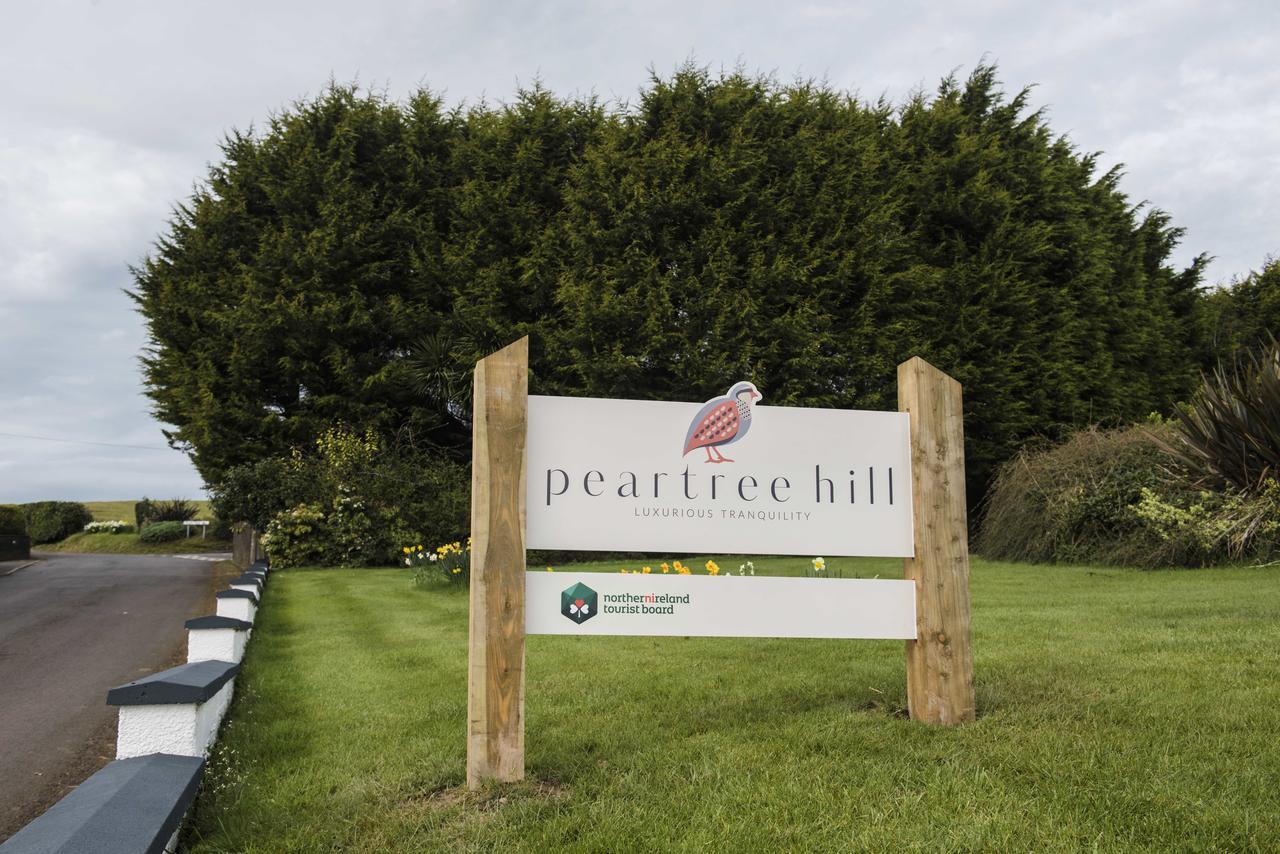 Bed and Breakfast Peartree Hill Dundonald  Exteriér fotografie